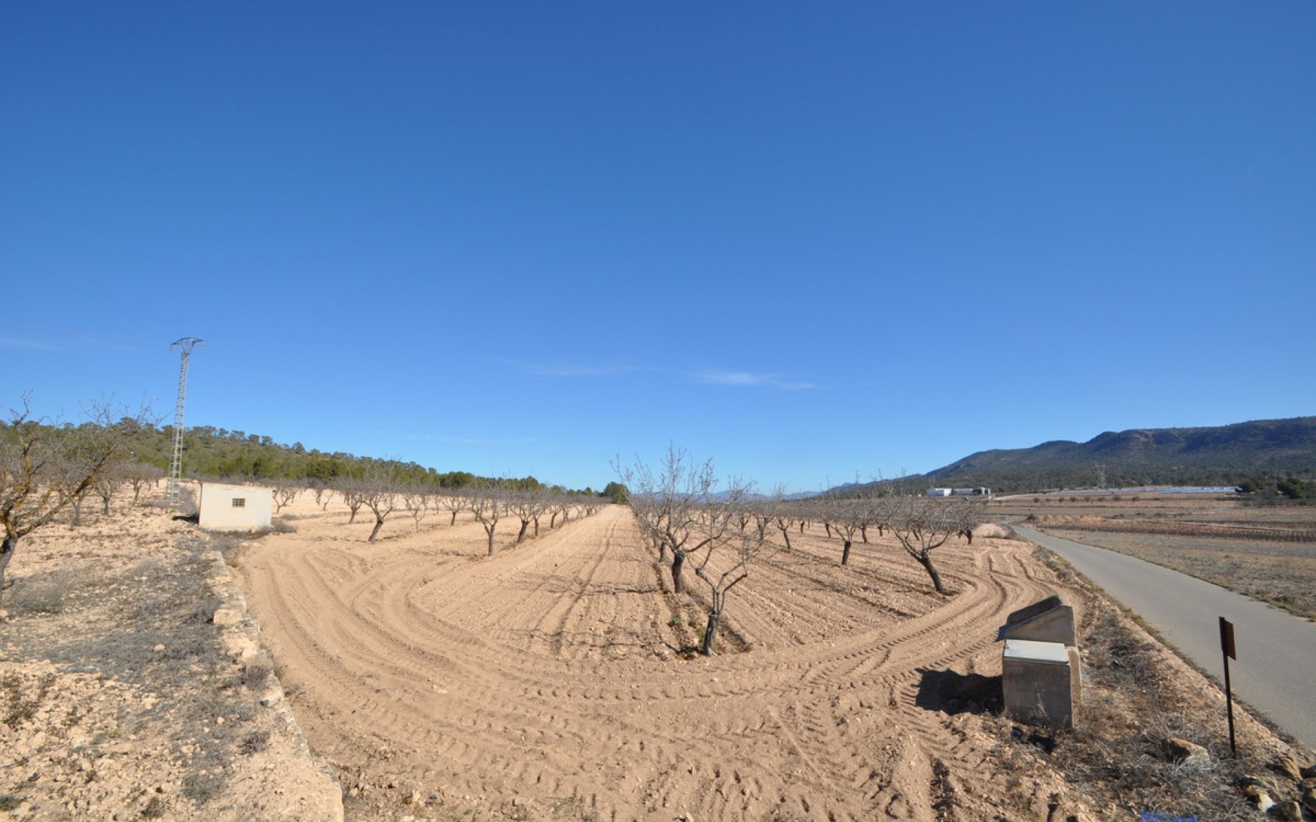 A Vendre - Terre - Monóvar - Monòver - Monóvar - Monòver Centro