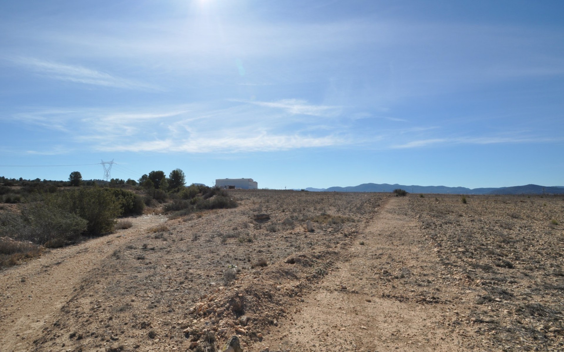 A Vendre - Terre - Monóvar - Monòver - Monóvar - Monòver Centro