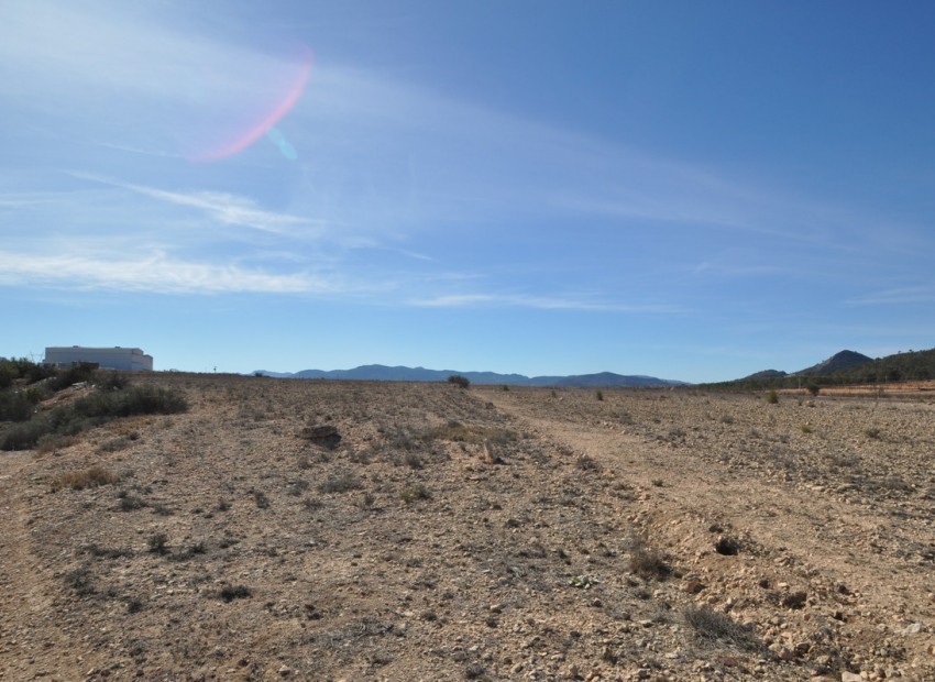 A Vendre - Terre - Monóvar - Monòver - Monóvar - Monòver Centro