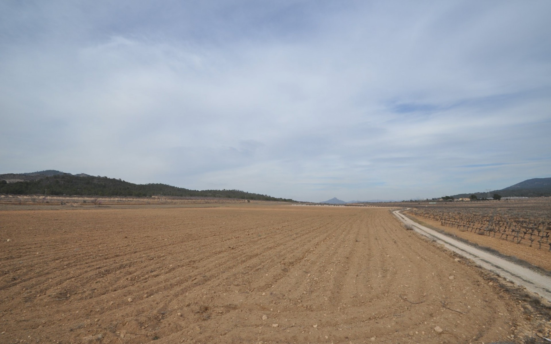 A Vendre - Terre - Monóvar - Monòver - Monóvar - Monòver Centro