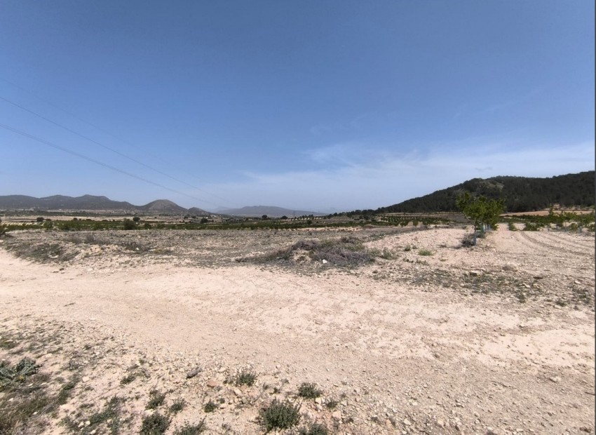 A Vendre - Terre - Monóvar - Monòver - Monóvar - Monòver Centro