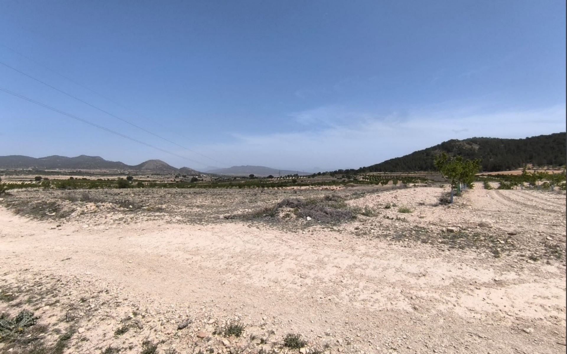 A Vendre - Terre - Monóvar - Monòver - Monóvar - Monòver Centro