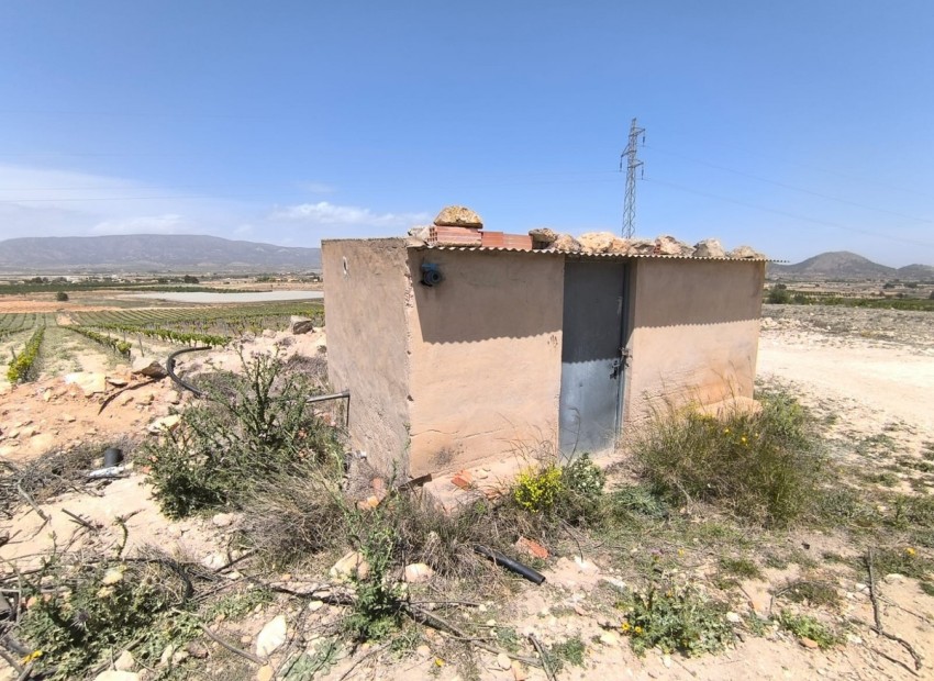 A Vendre - Terre - Monóvar - Monòver - Monóvar - Monòver Centro