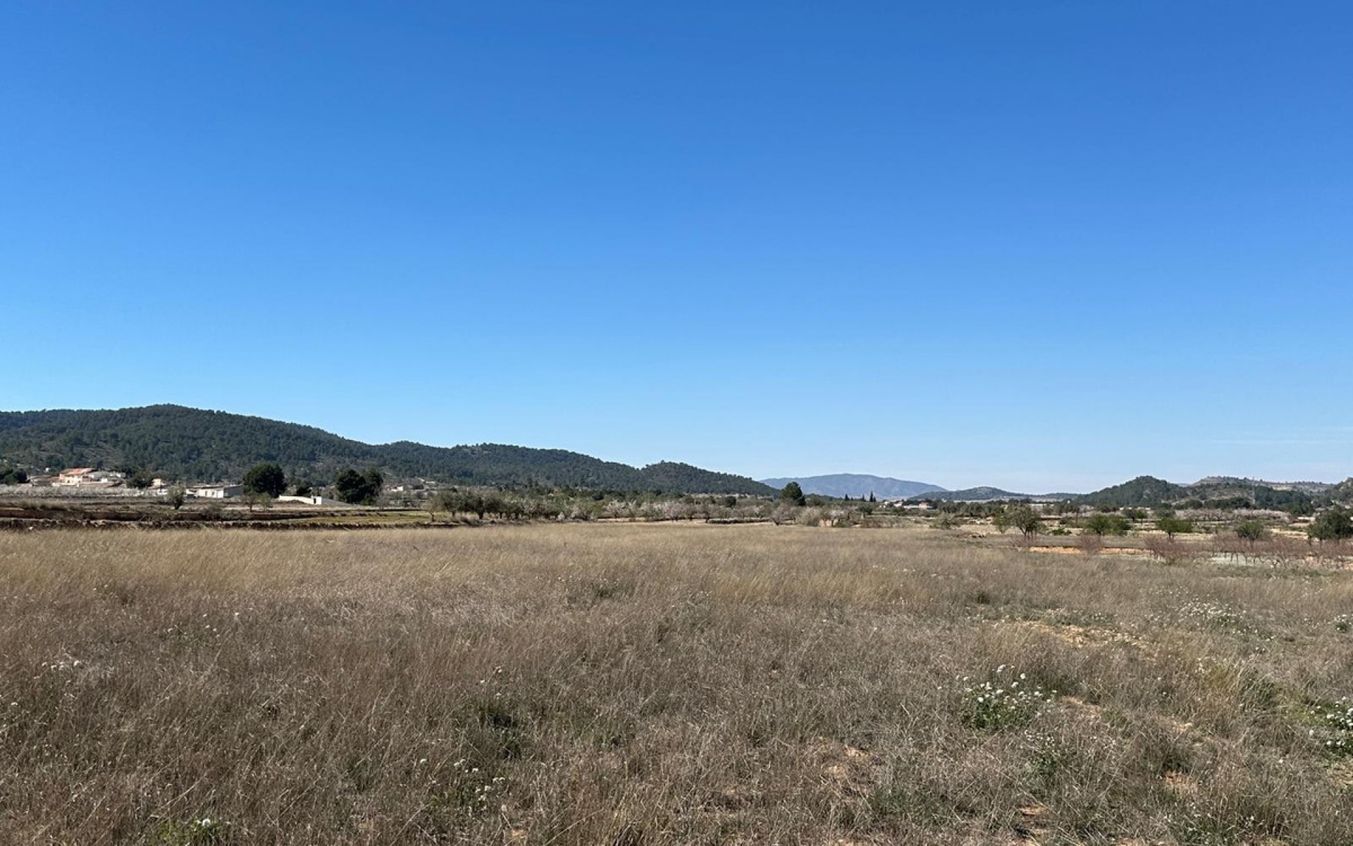 A Vendre - Terre - Monóvar - Monòver - Monóvar - Monòver Centro