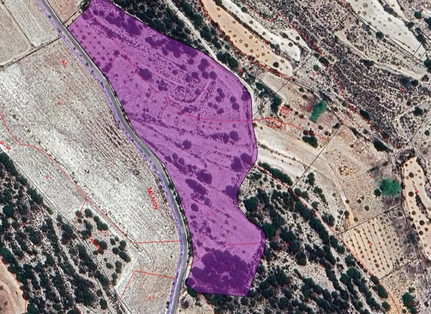 A Vendre - Terre - Monóvar - Monòver - Monóvar - Monòver Centro