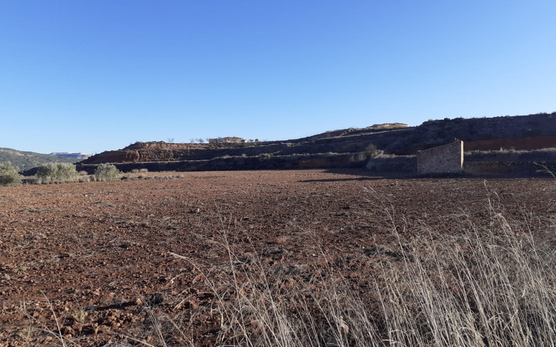 A Vendre - Terre - Pinoso - Pinoso Centro