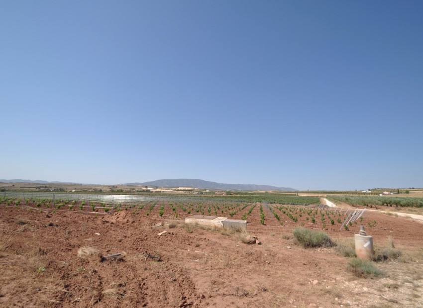 A Vendre - Terre - Pinoso - Pinoso Centro