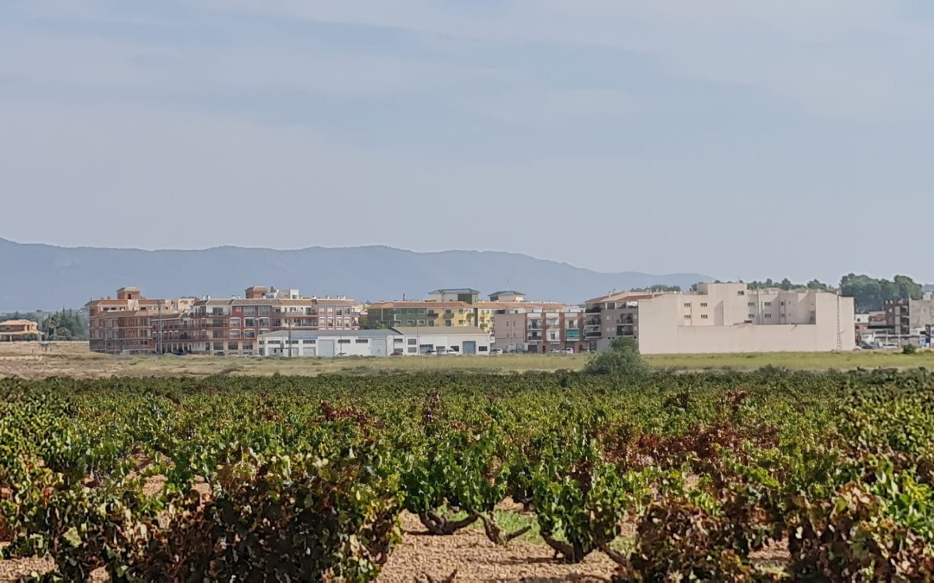 A Vendre - Terre - Pinoso - Pinoso Centro