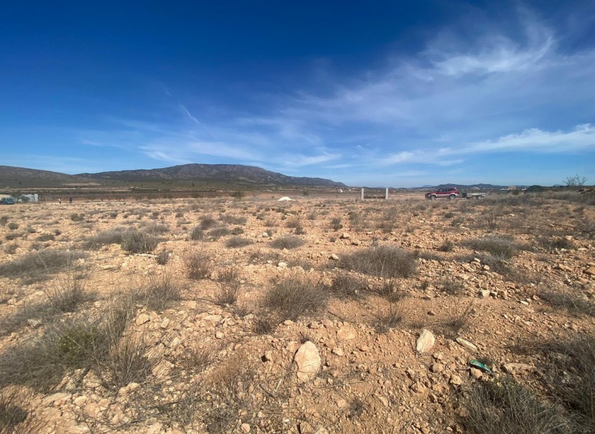 A Vendre - Terre - Pinoso - Pinoso Centro