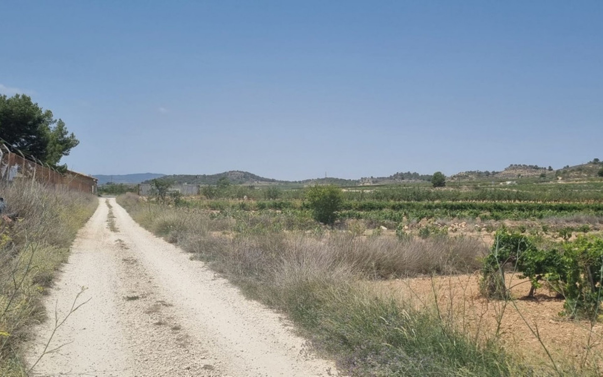 A Vendre - Terre - Pinoso - Pinoso Centro