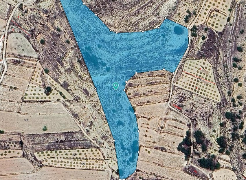 A Vendre - Terre - Pinoso - Pinoso Centro