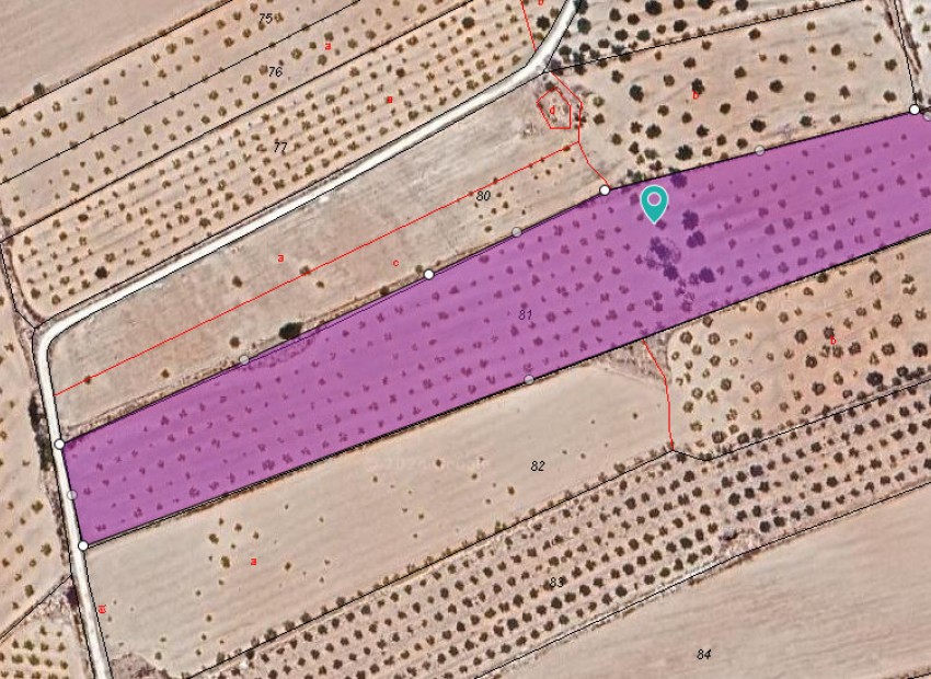 A Vendre - Terre - Pinoso - Pinoso Centro