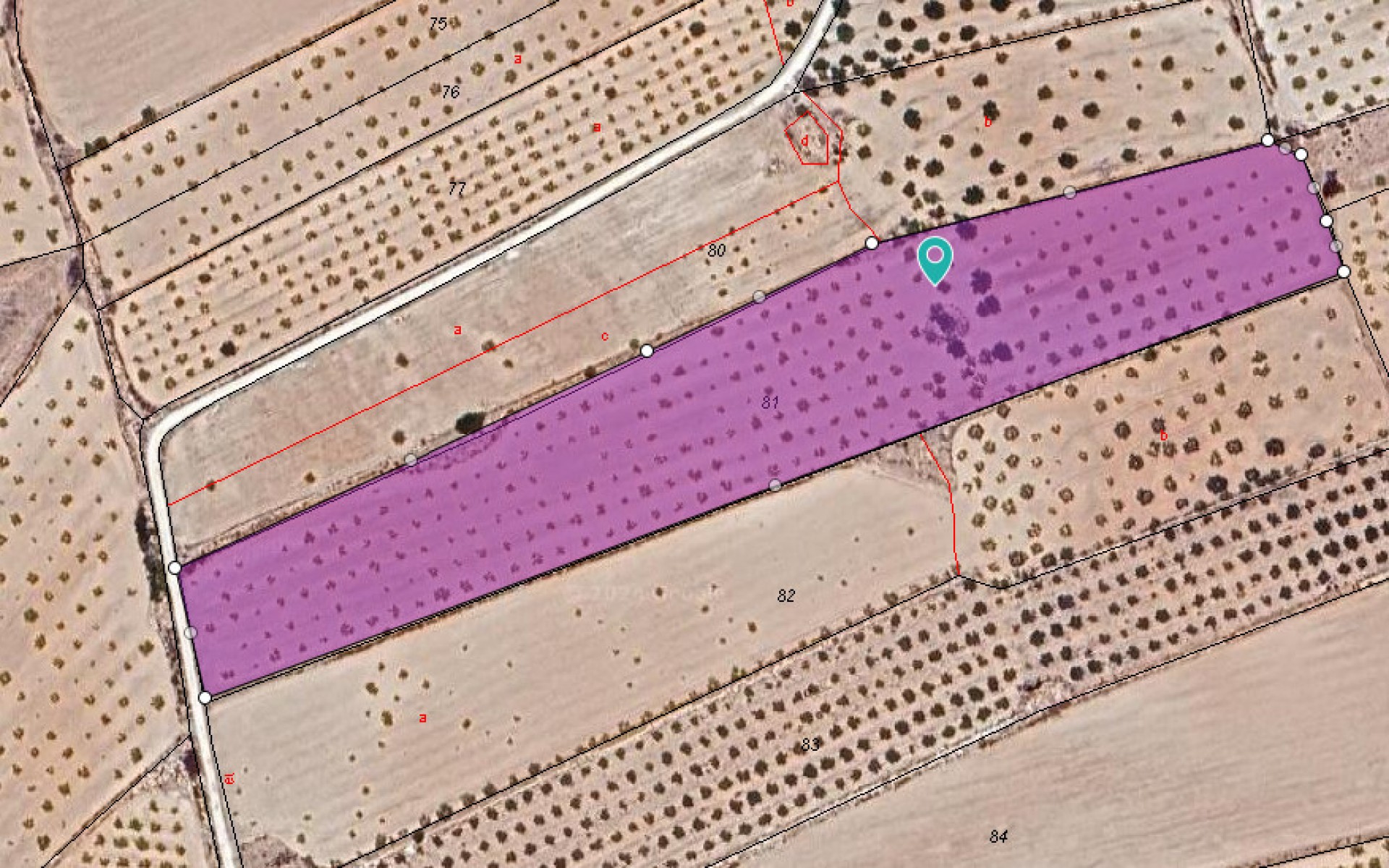 A Vendre - Terre - Pinoso - Pinoso Centro