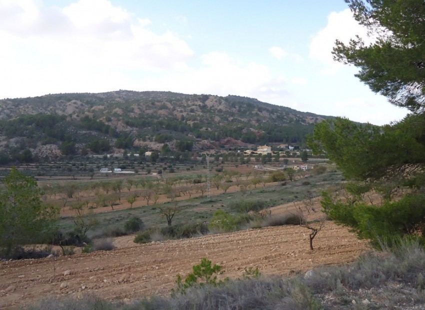 A Vendre - Terre - Pinoso - Pinoso Centro
