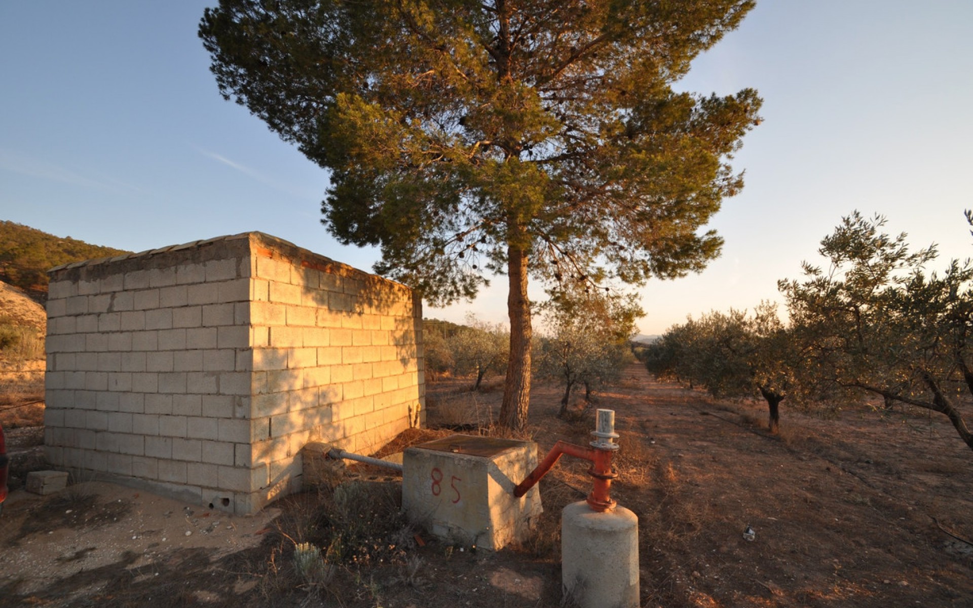 A Vendre - Terre - Pinoso - Pinoso Centro