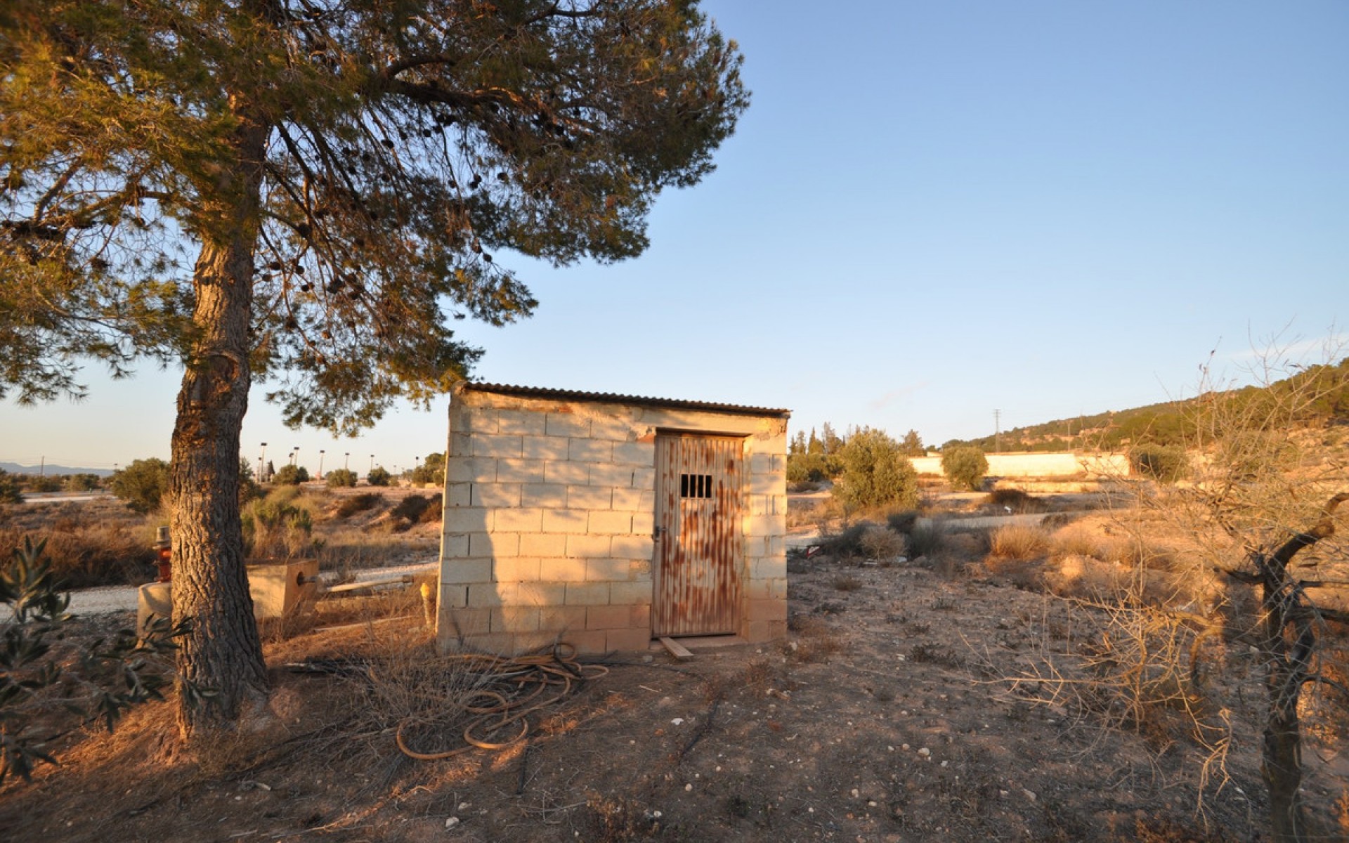 A Vendre - Terre - Pinoso - Pinoso Centro