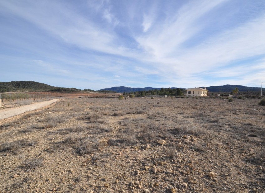 A Vendre - Terre - Pinoso - Pinoso Centro