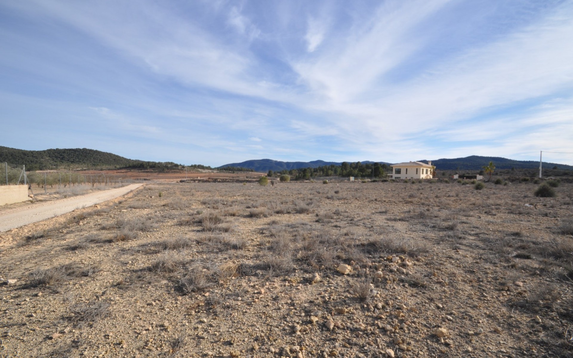 A Vendre - Terre - Pinoso - Pinoso Centro