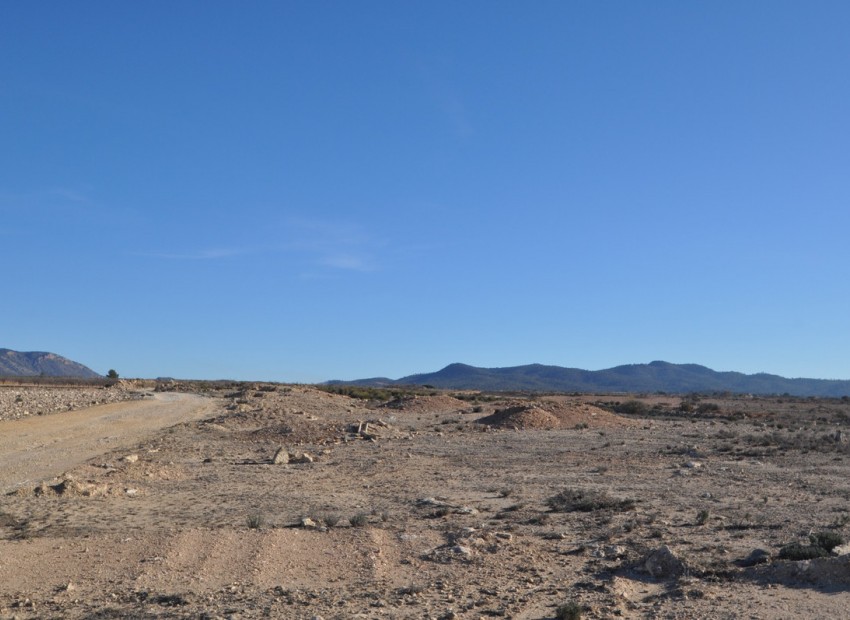 A Vendre - Terre - Pinoso - Pinoso Centro