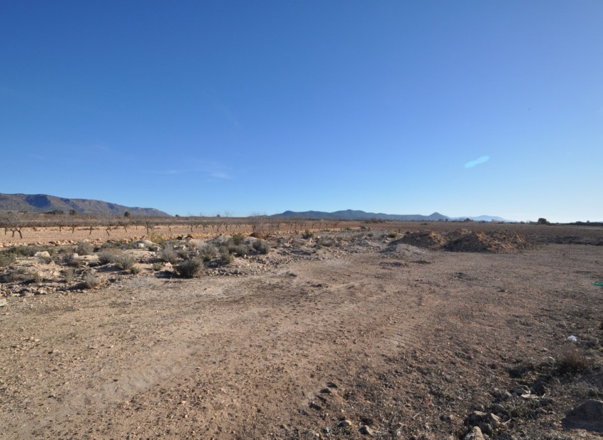 A Vendre - Terre - Pinoso - Pinoso Centro