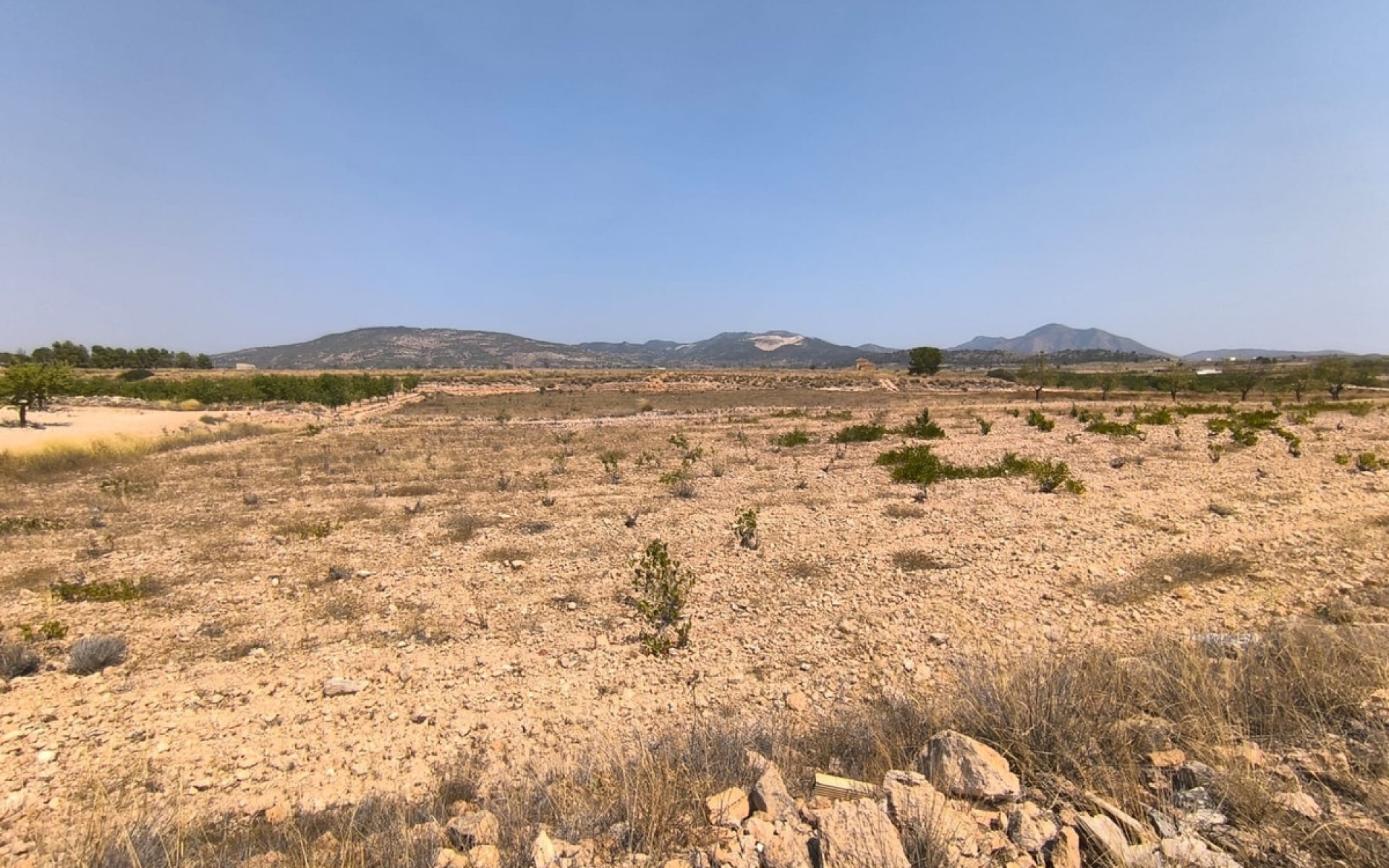 A Vendre - Terre - Pinoso - Pinoso Centro