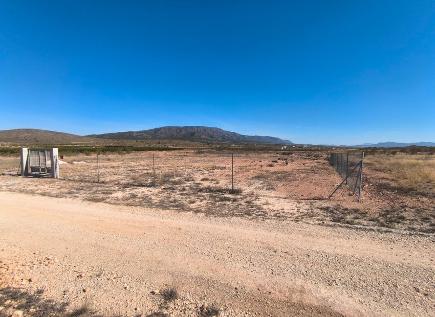 A Vendre - Terre - Pinoso - Pinoso Centro