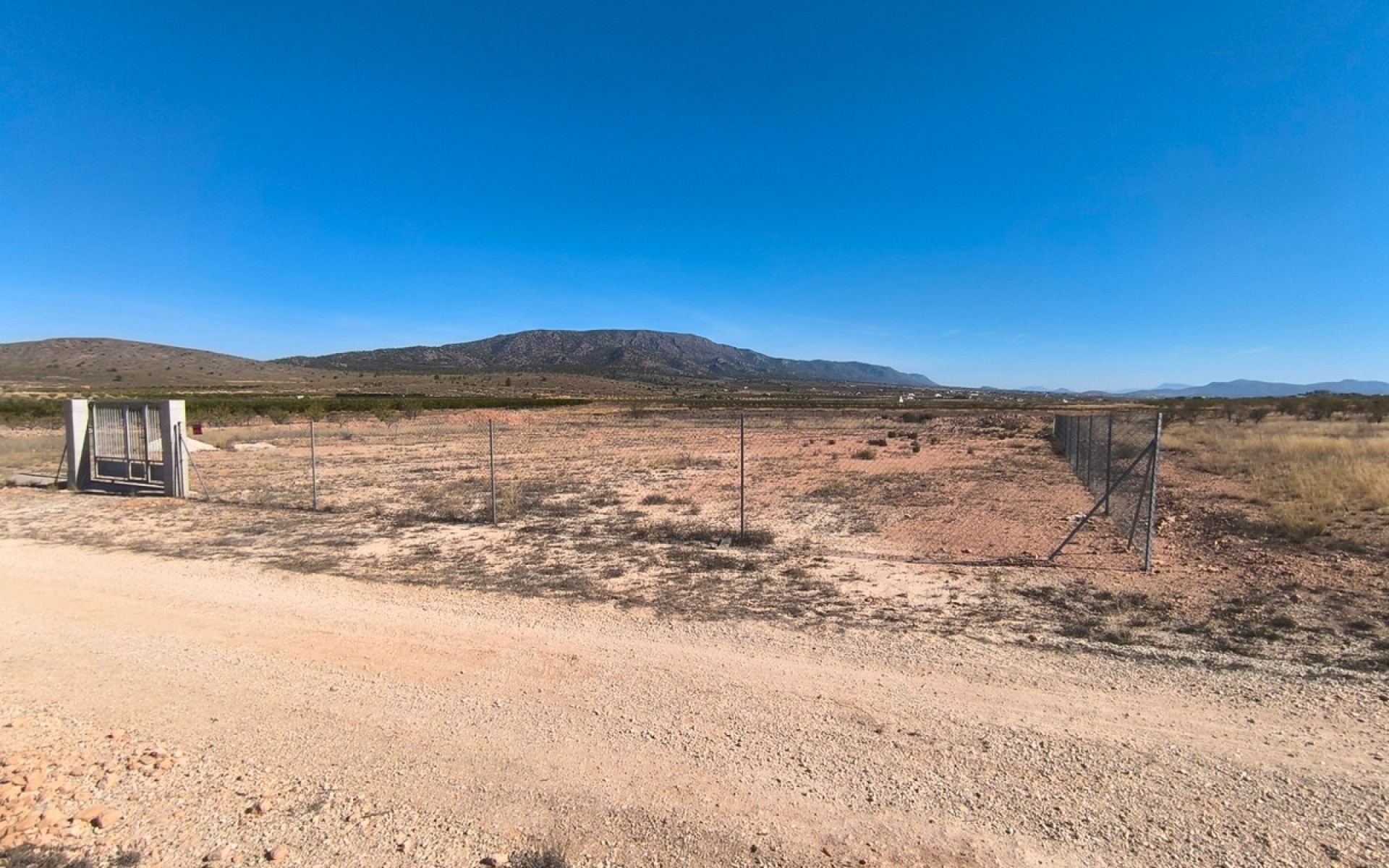 A Vendre - Terre - Pinoso - Pinoso Centro