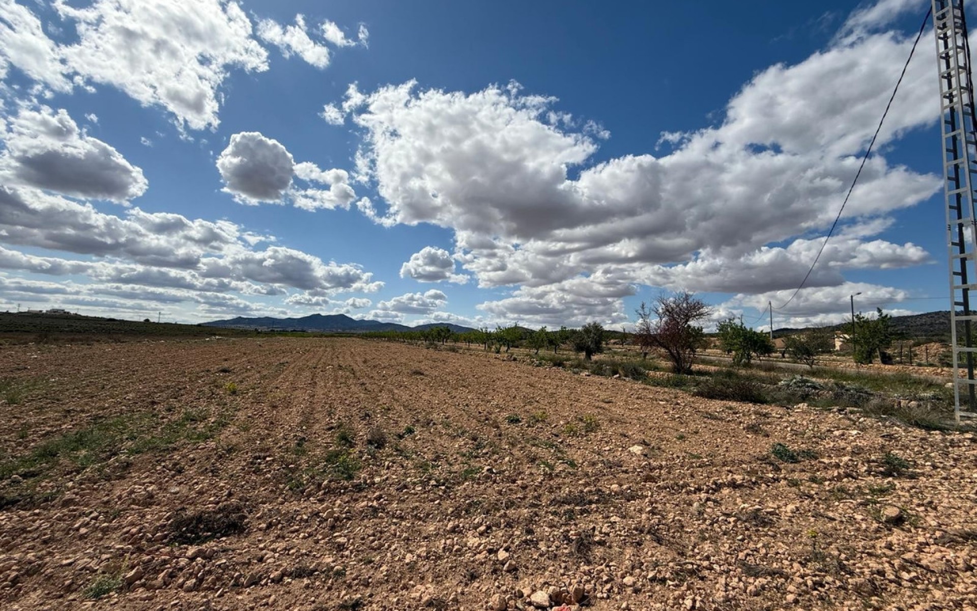 A Vendre - Terre - Pinoso - Pinoso Centro