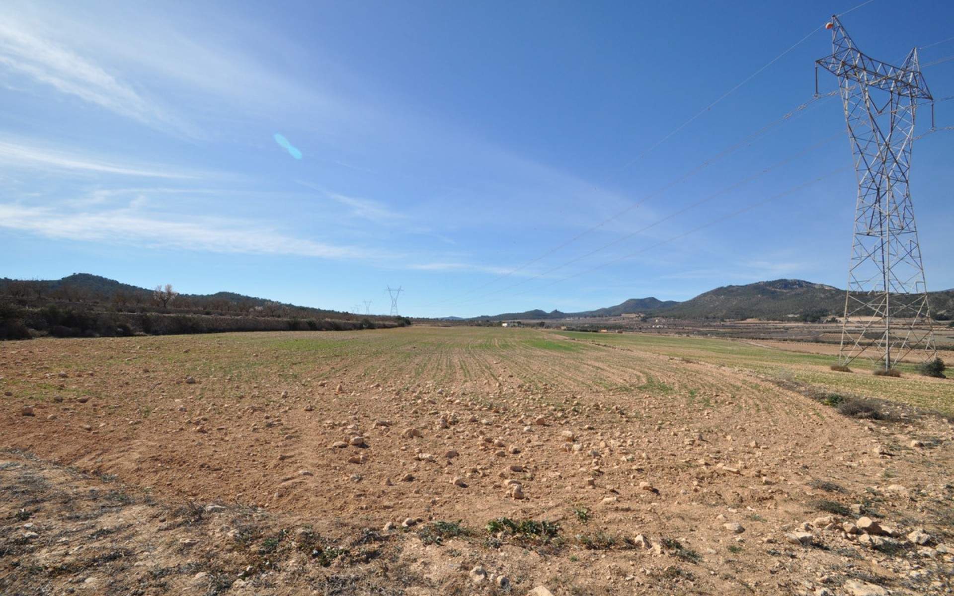 A Vendre - Terre - Salinas - Salinas Centro