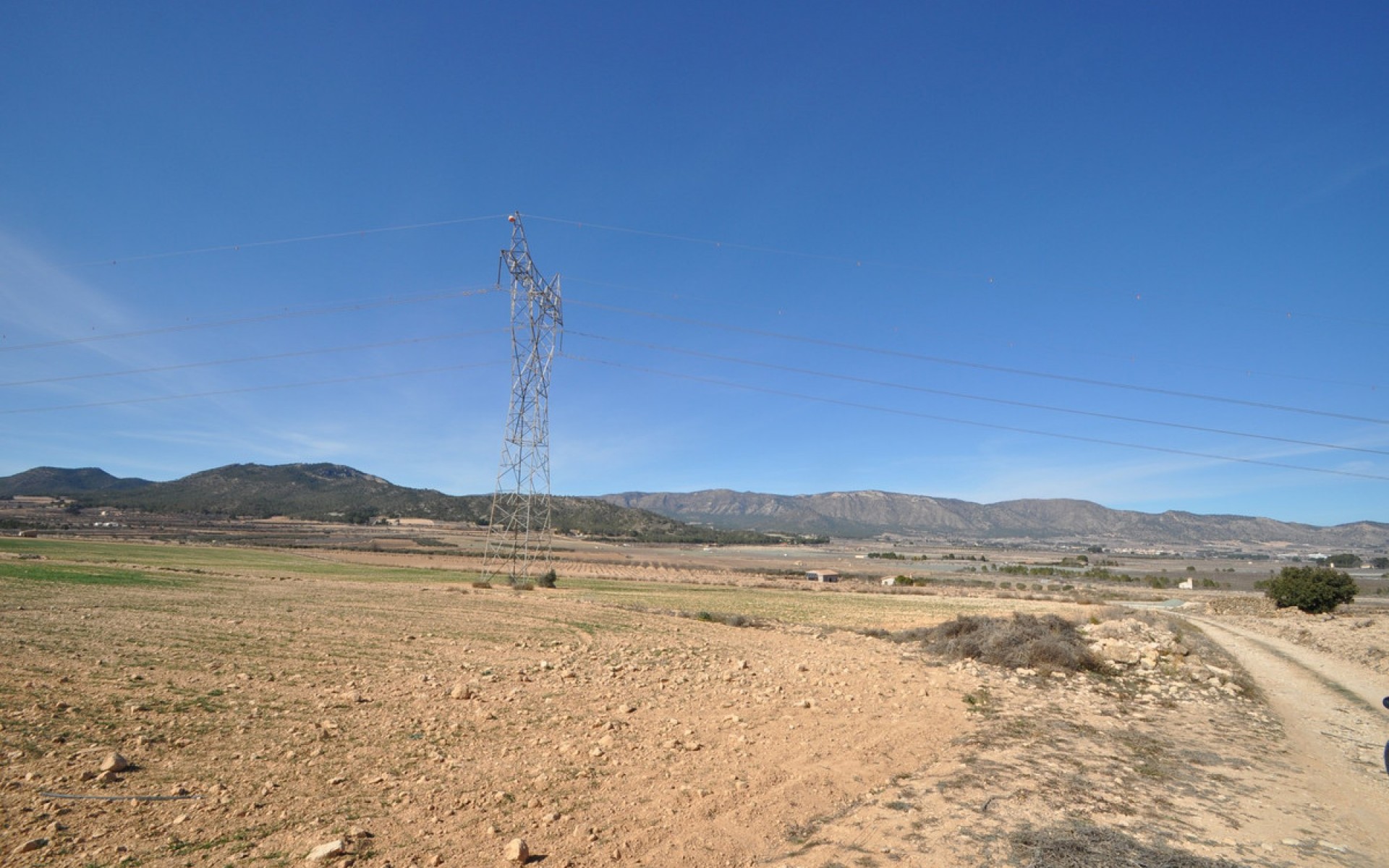 A Vendre - Terre - Salinas - Salinas Centro