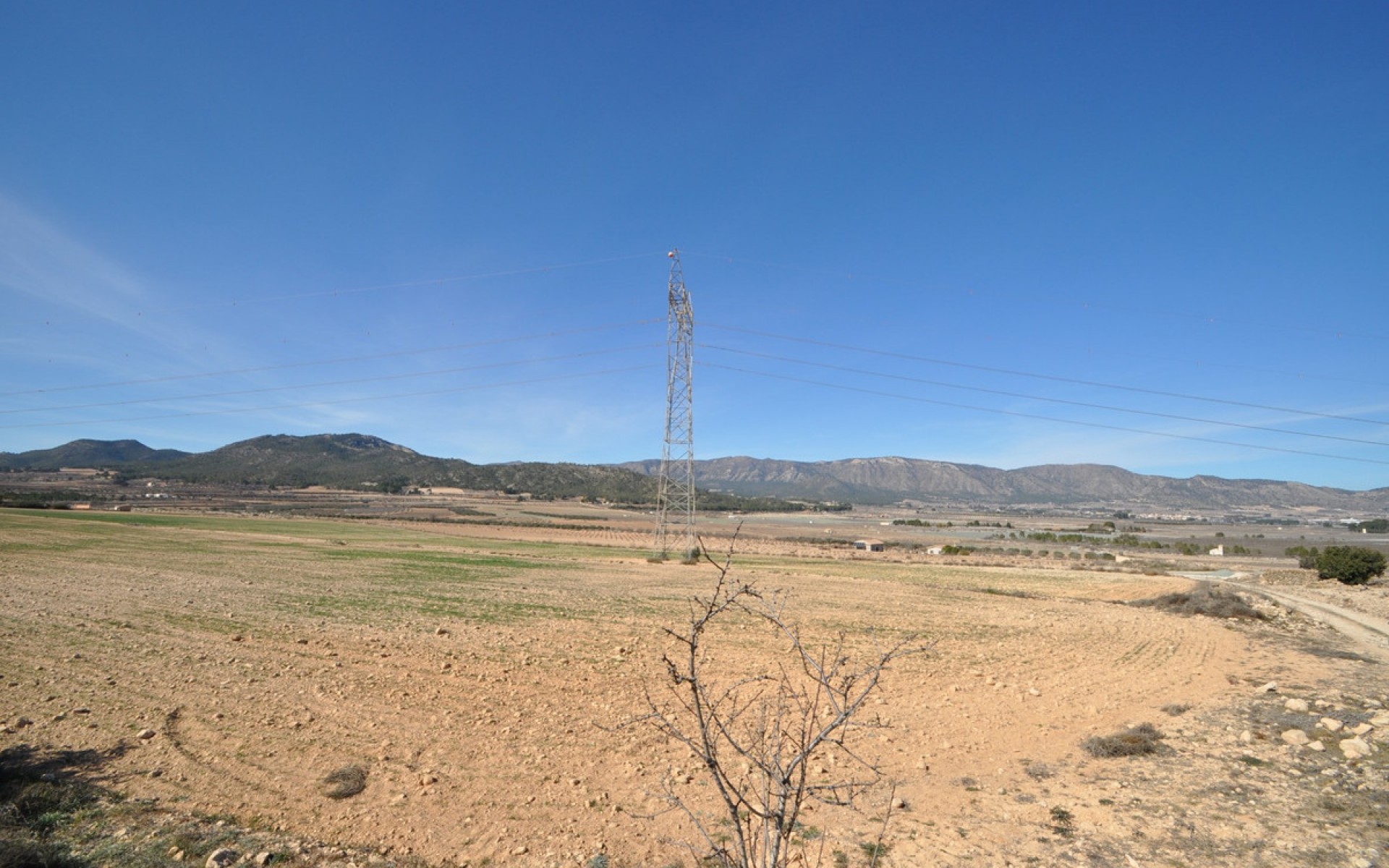 A Vendre - Terre - Salinas - Salinas Centro