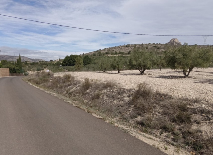 A Vendre - Terre - Salinas - Salinas Centro