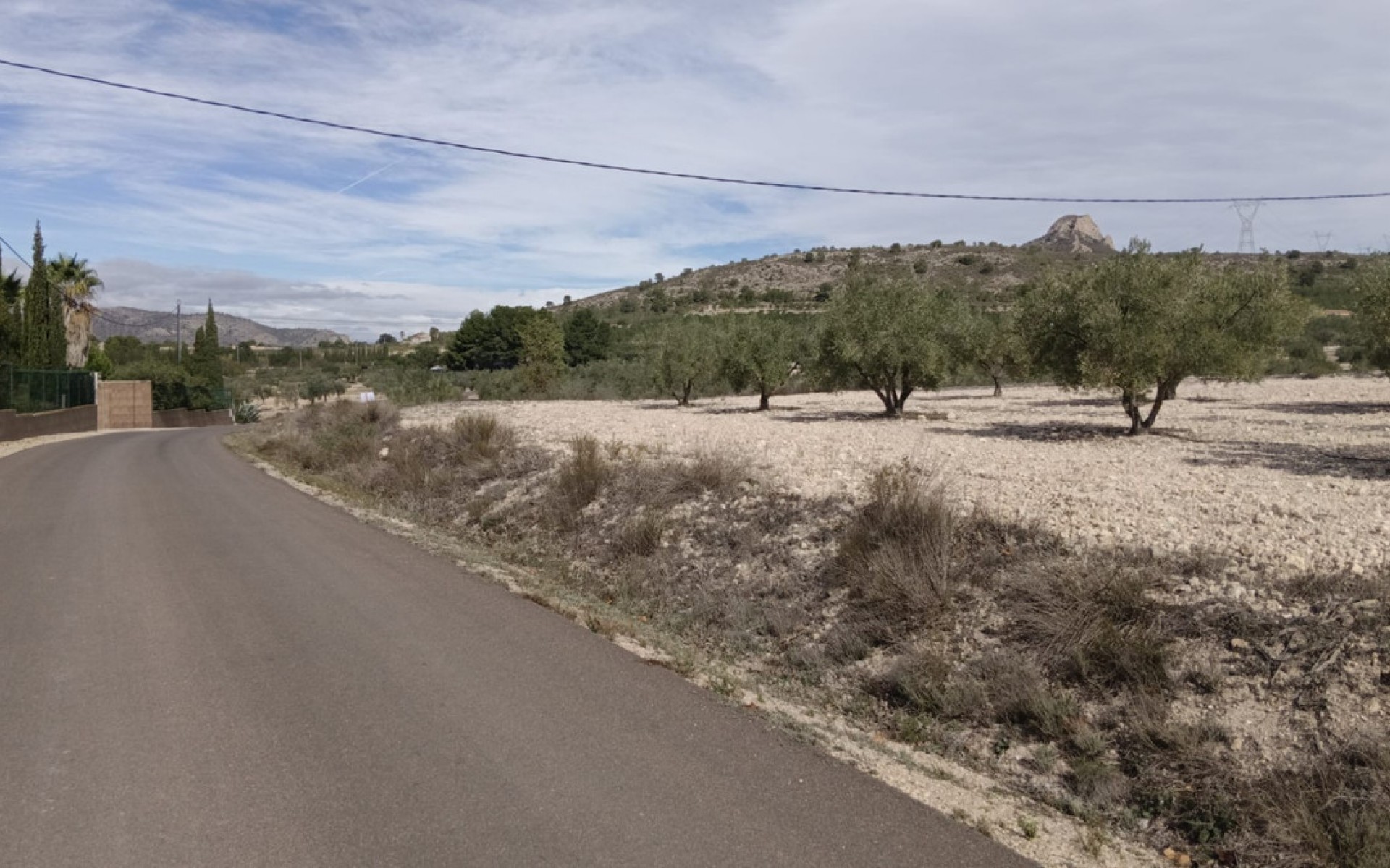 A Vendre - Terre - Salinas - Salinas Centro