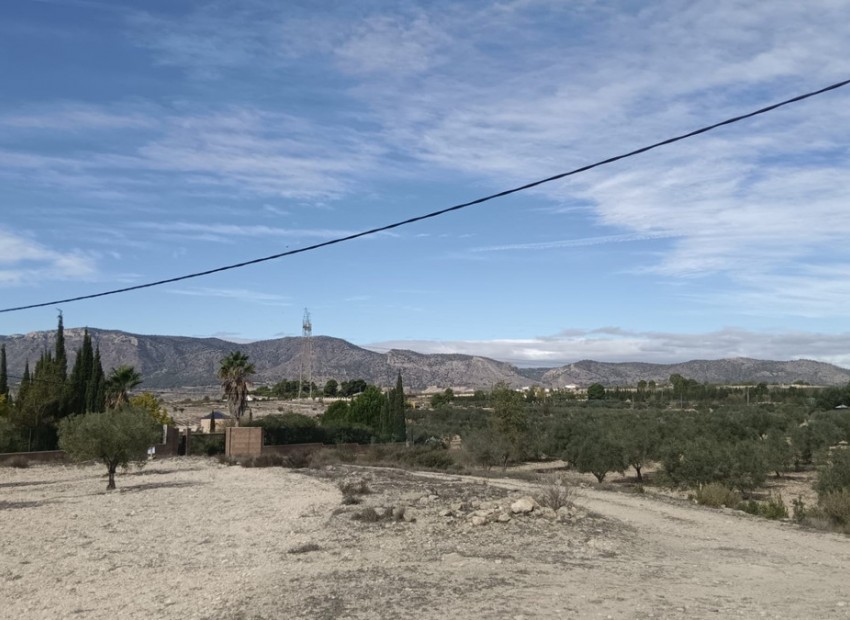 A Vendre - Terre - Salinas - Salinas Centro