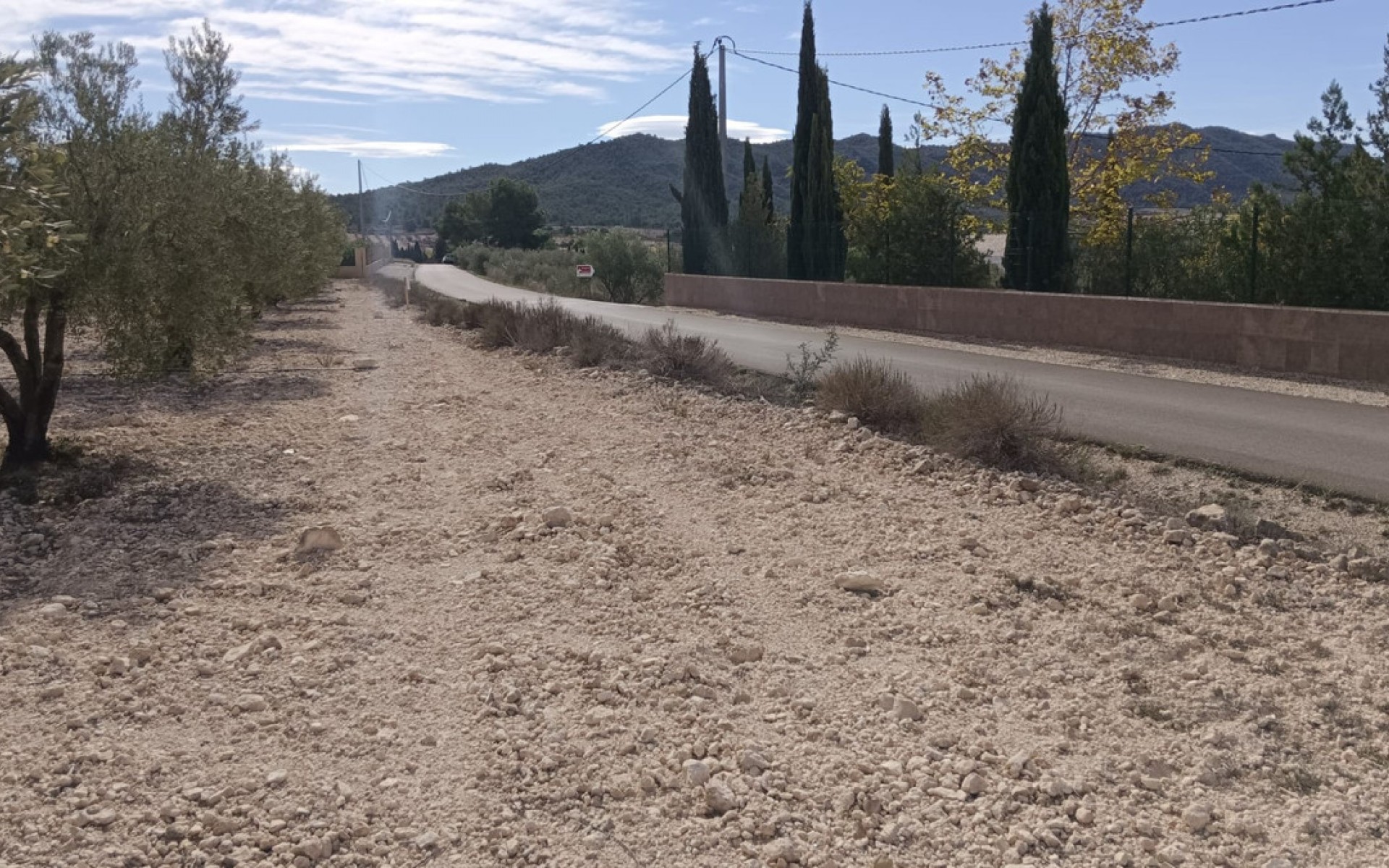 A Vendre - Terre - Salinas - Salinas Centro