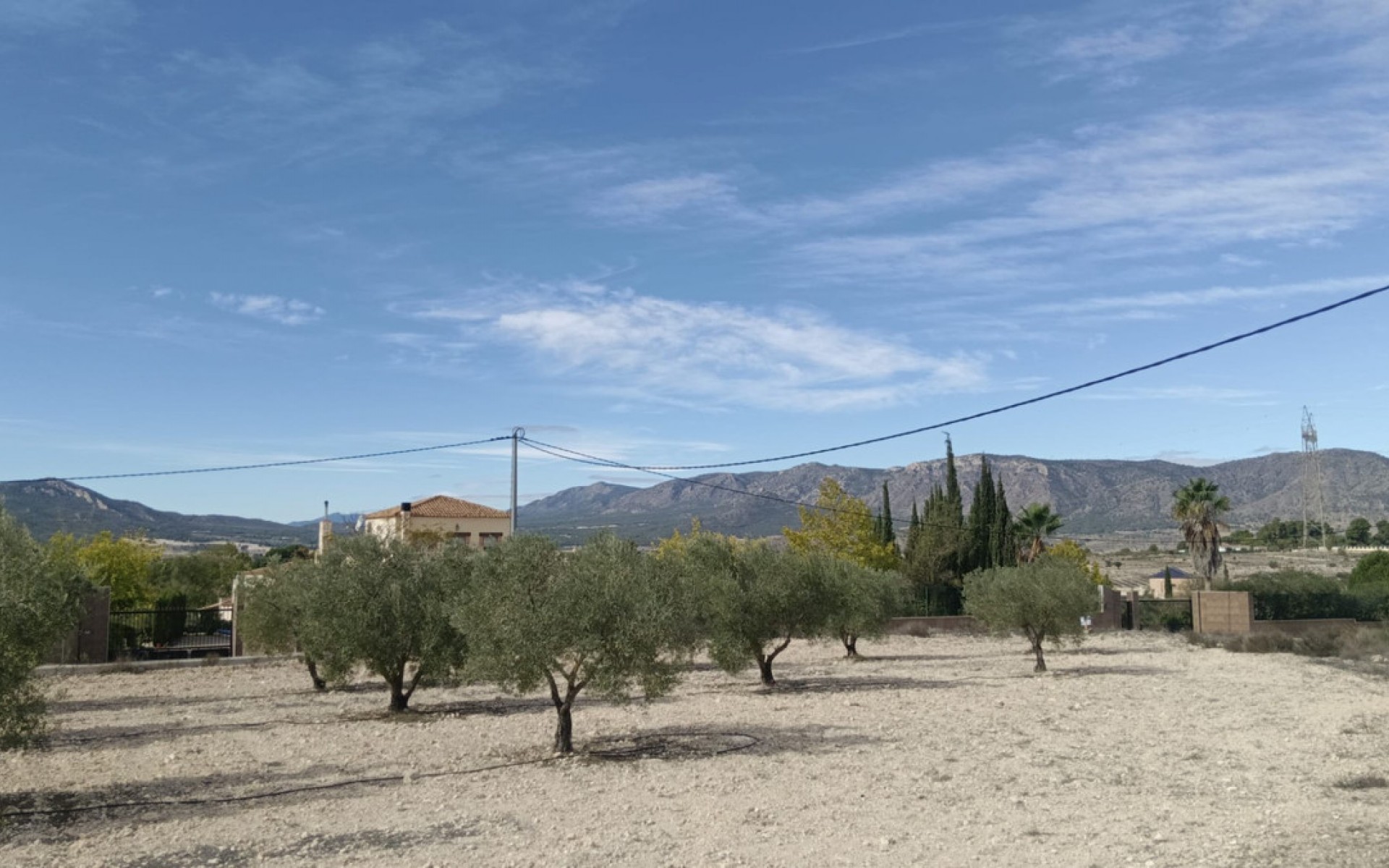 A Vendre - Terre - Salinas - Salinas Centro