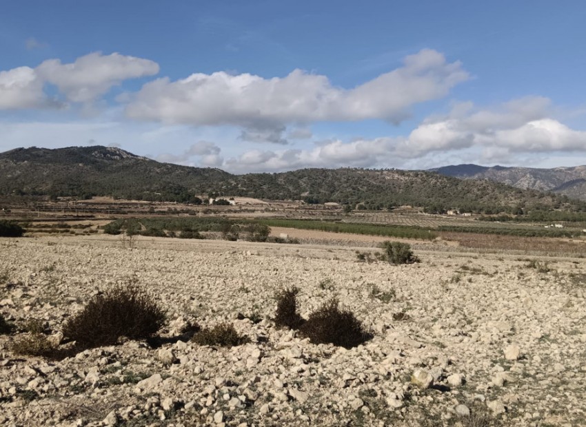 A Vendre - Terre - Salinas - Salinas Centro