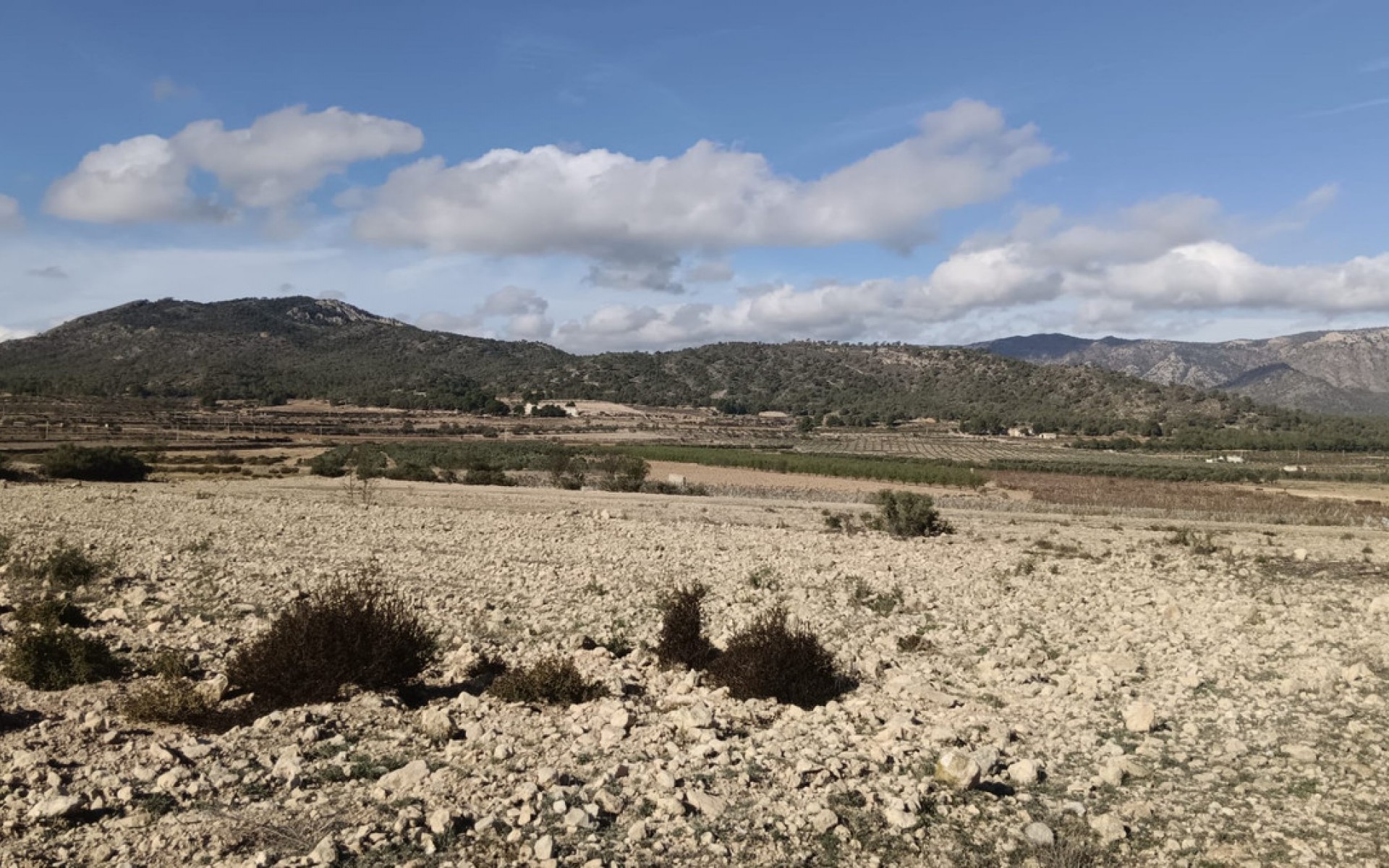 A Vendre - Terre - Salinas - Salinas Centro