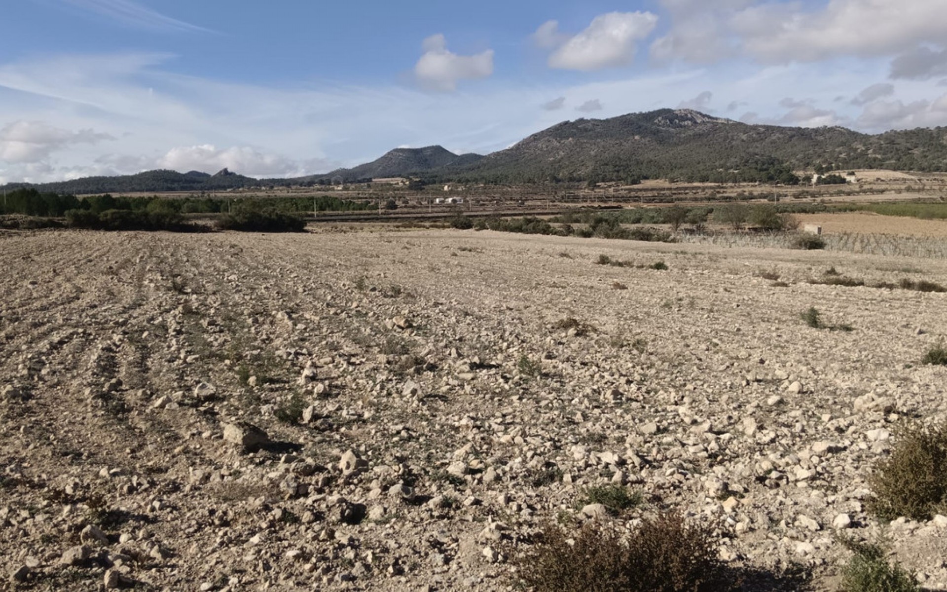 A Vendre - Terre - Salinas - Salinas Centro