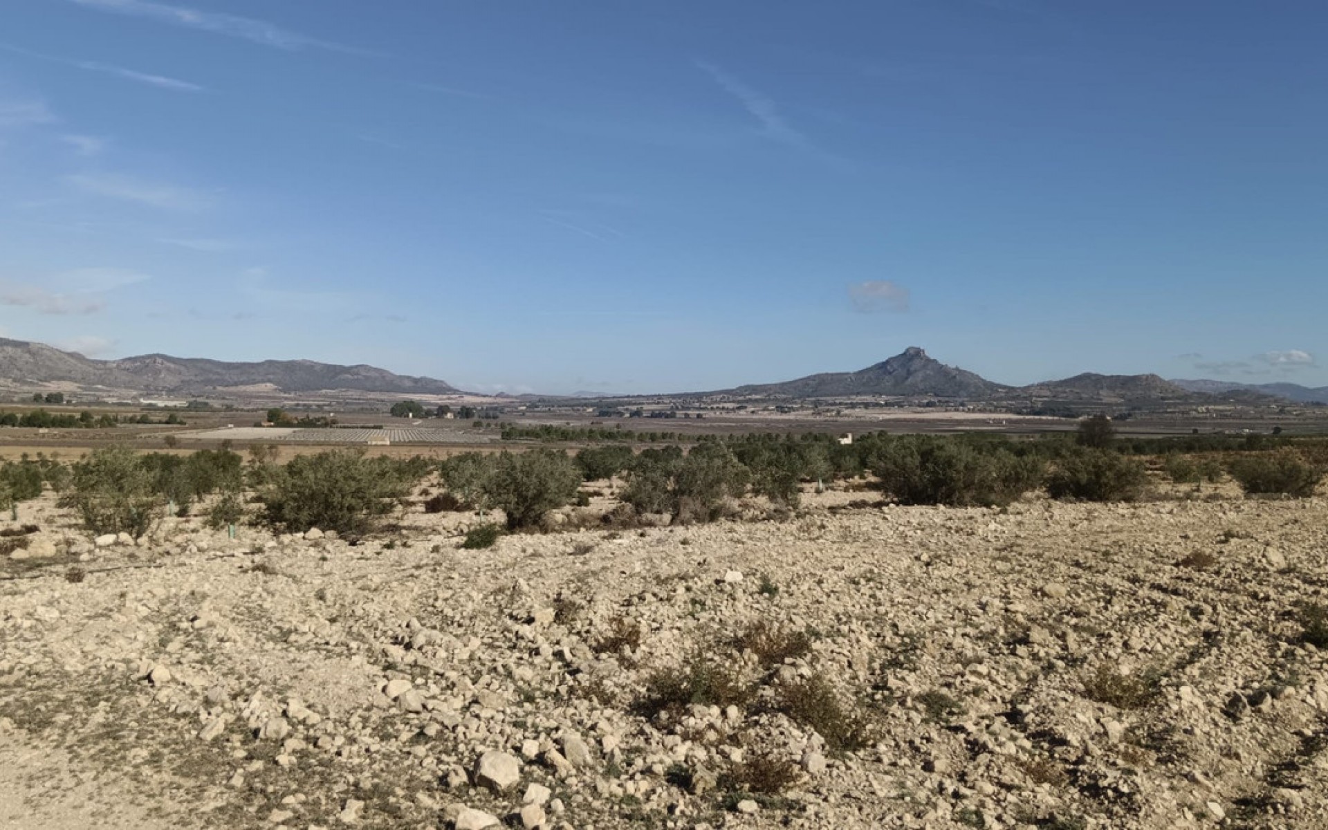 A Vendre - Terre - Salinas - Salinas Centro