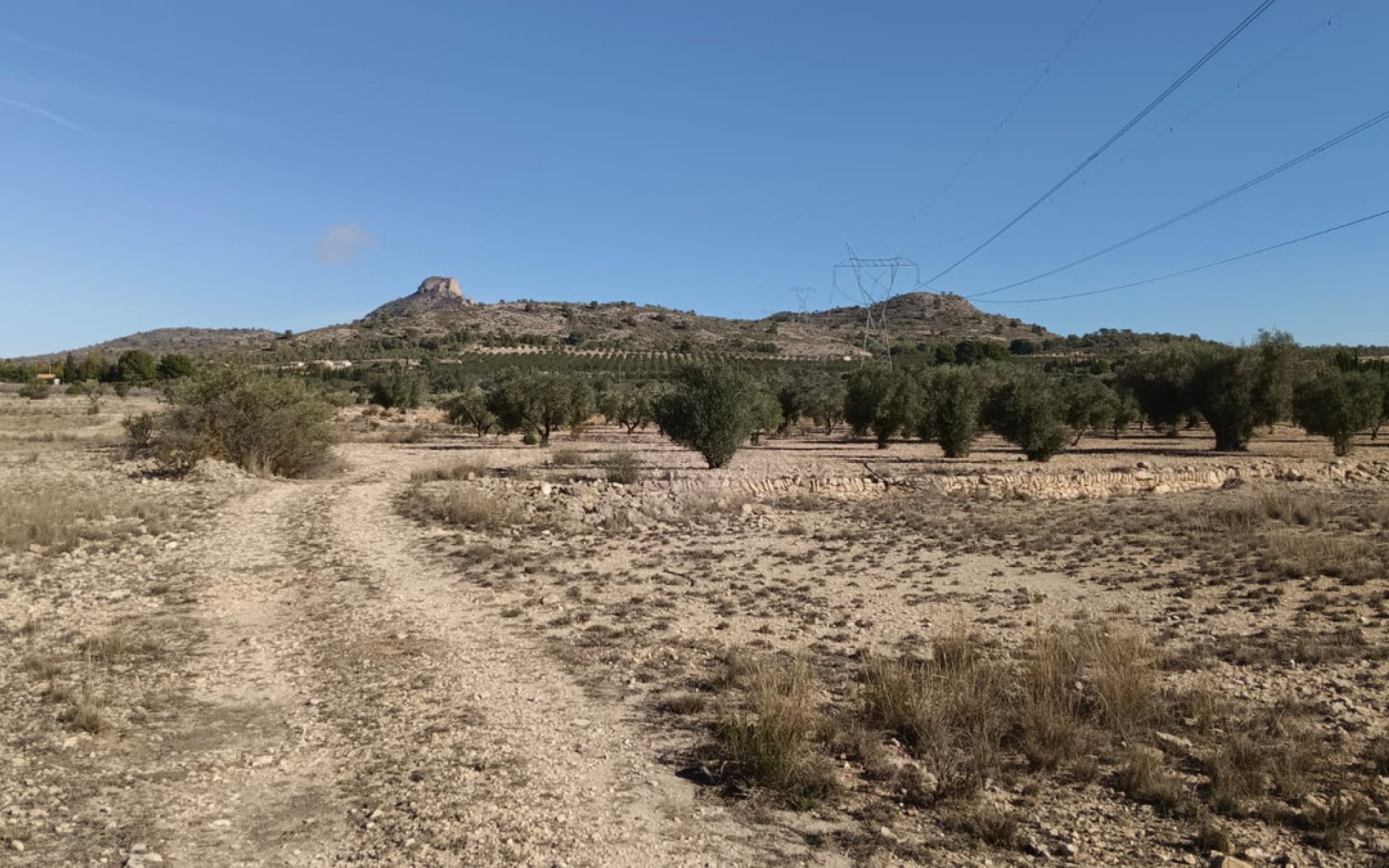 A Vendre - Terre - Salinas - Salinas Centro