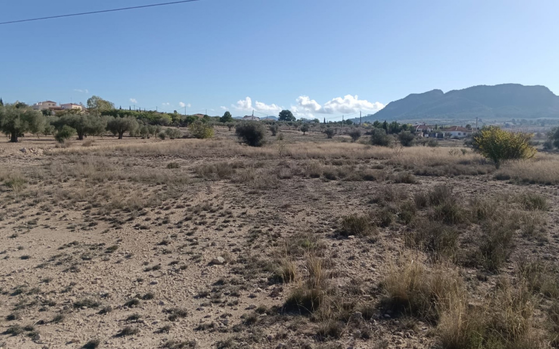 A Vendre - Terre - Salinas - Salinas Centro