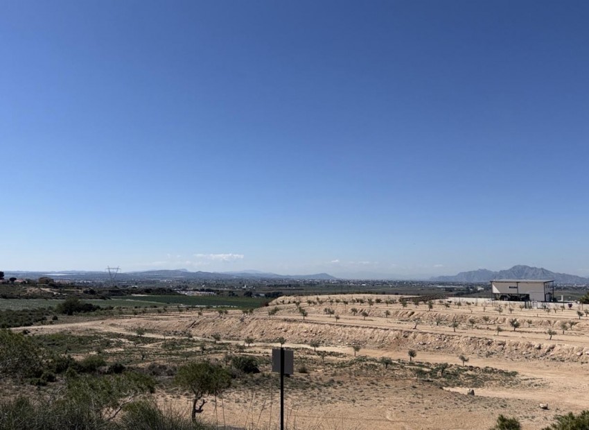 A Vendre - Terre - San Fulgencio - La Marina