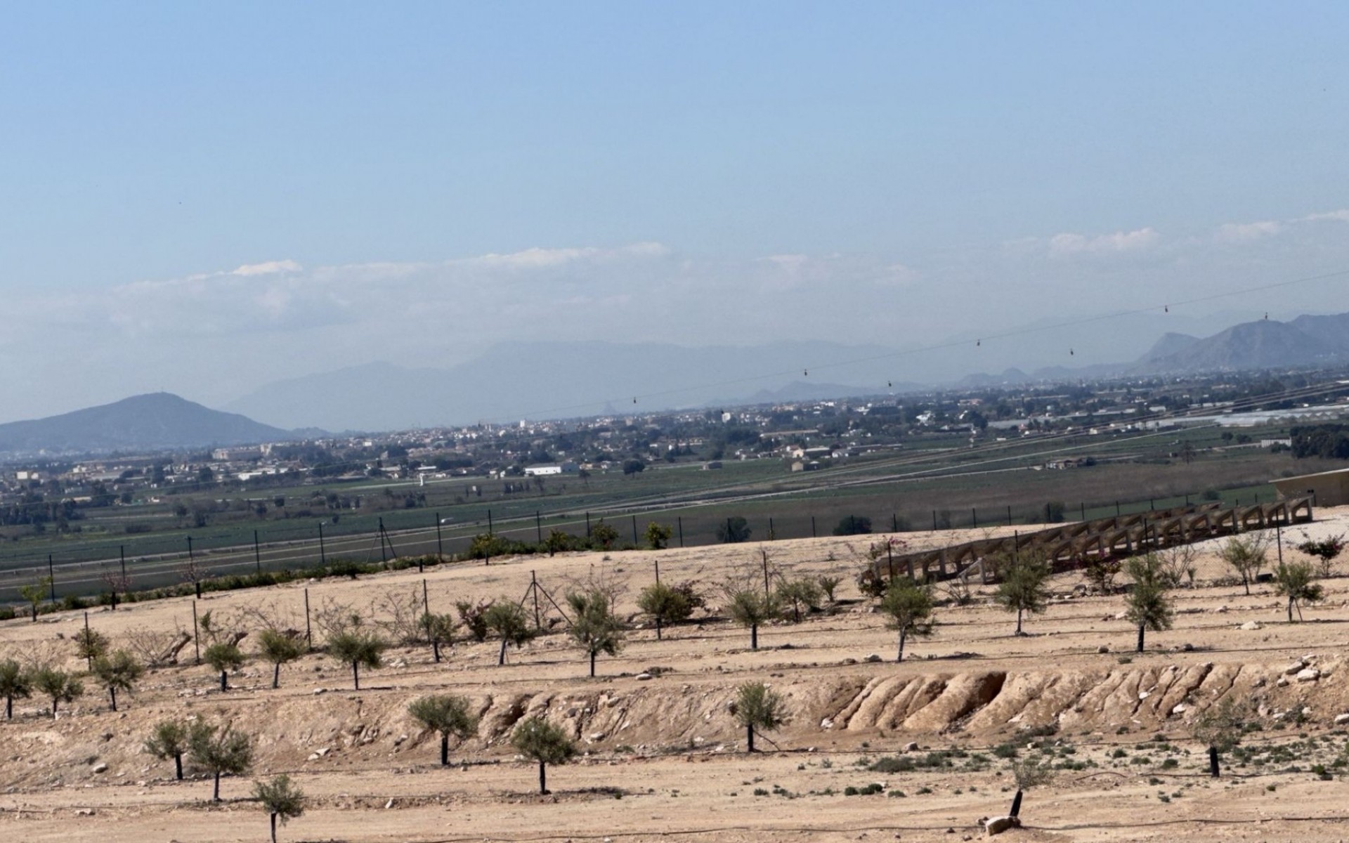 A Vendre - Terre - San Fulgencio - La Marina