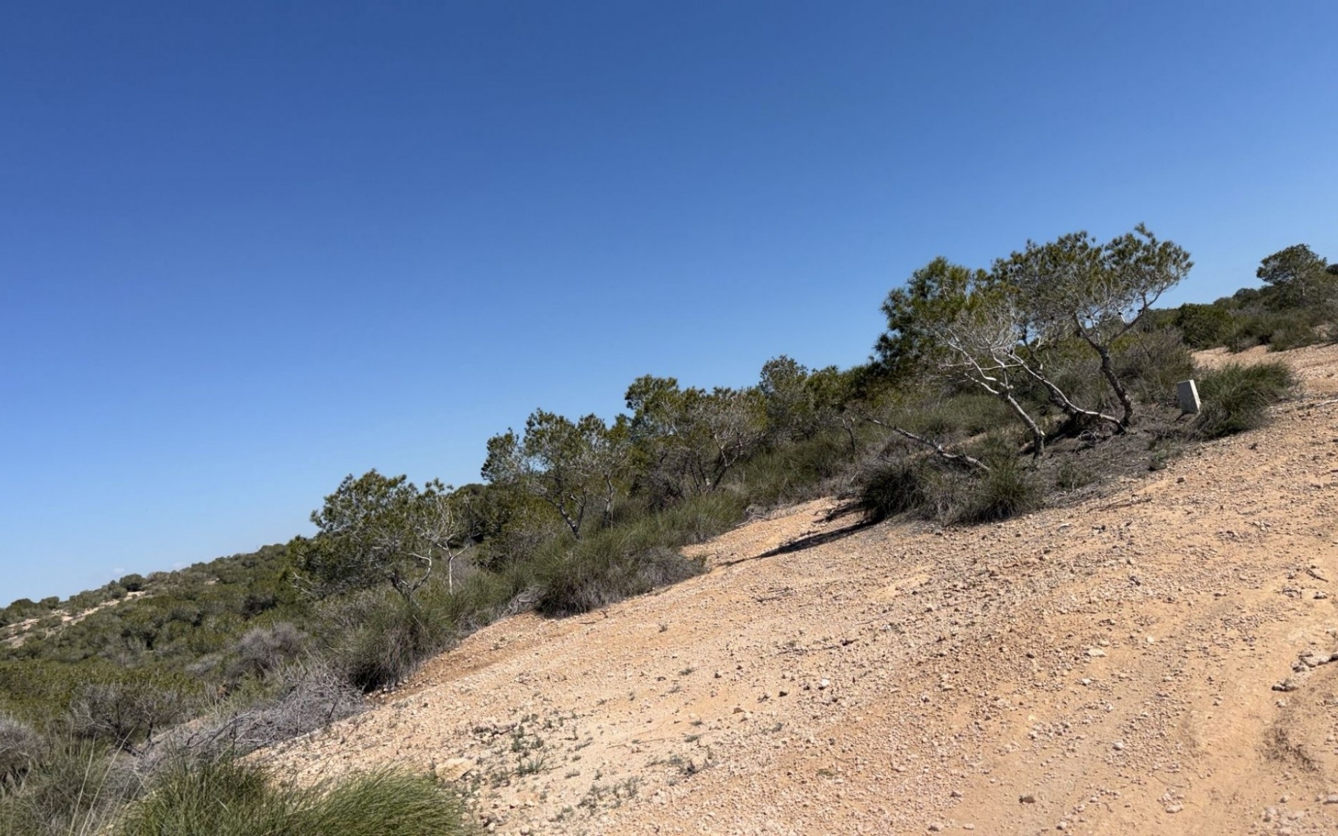 A Vendre - Terre - San Fulgencio - La Marina