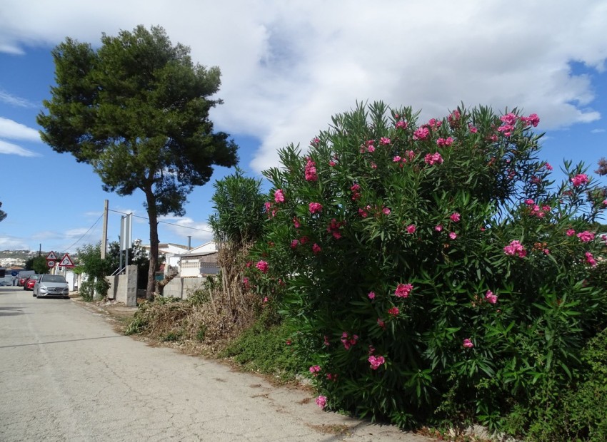 A Vendre - Terre - Teulada - Teulada Centro