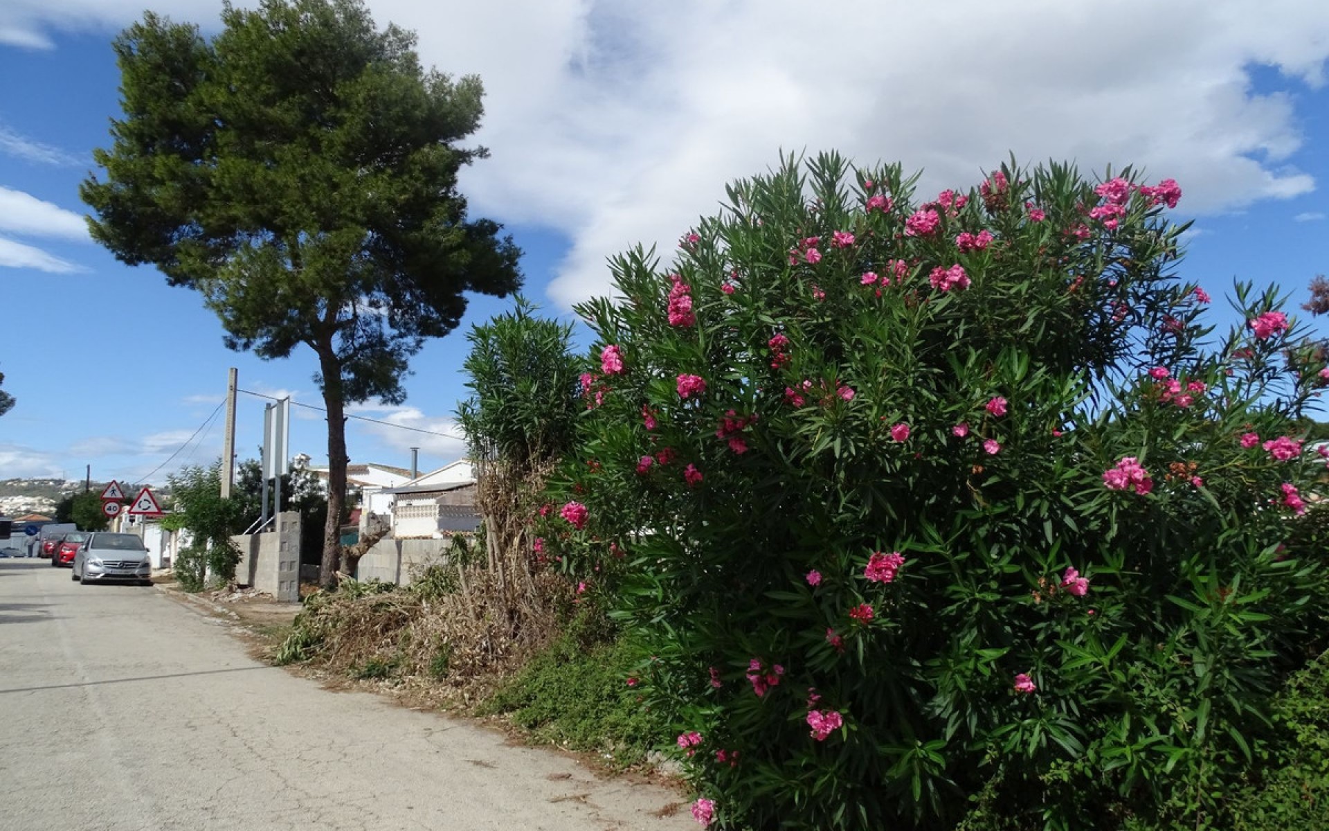 A Vendre - Terre - Teulada - Teulada Centro