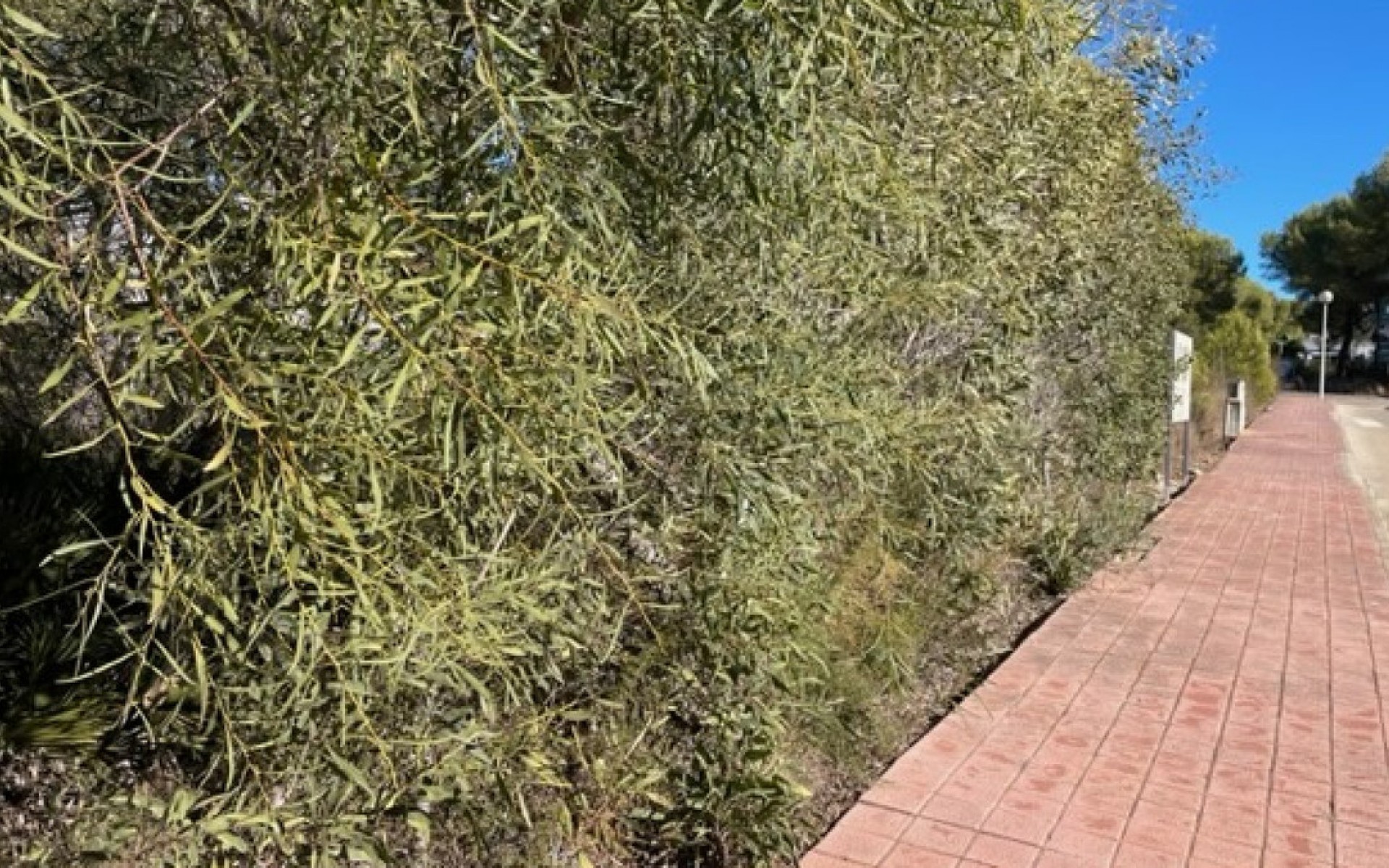 A Vendre - Terre - Villajoyosa - La Cala