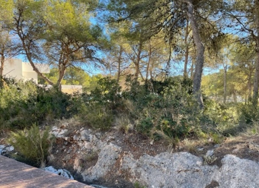 A Vendre - Terre - Villajoyosa - La Cala