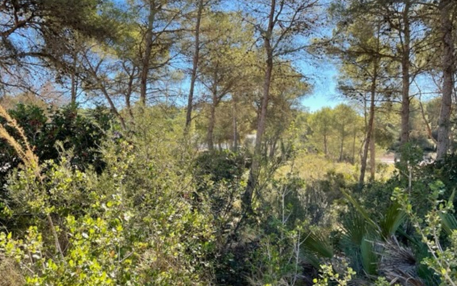 A Vendre - Terre - Villajoyosa - La Cala